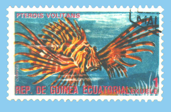 Pterois volitans