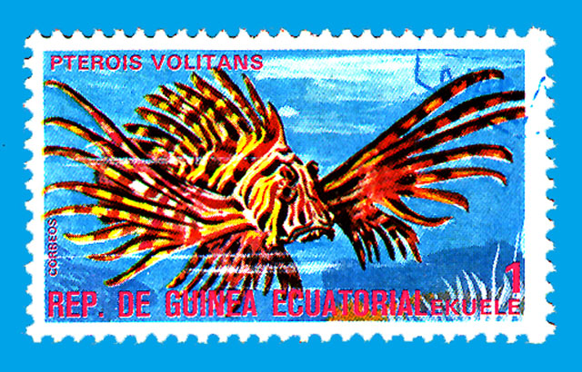 Pterois volitans