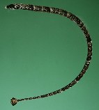 Image of Micrognathus andersonii (Shortnose pipefish)