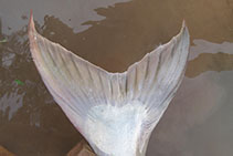 tn_Pamek_u6.jpg