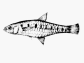 Cndec_u1.gif