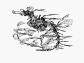 Phequ_u0.gif