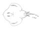 Pssco_u0.gif