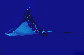 Aenar_u6.jpg