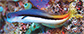 Ecbic_u9.jpg