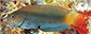 Ecnam_u6.jpg