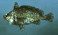 Equmb_u1.jpg