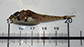 Icspa_u1.jpg
