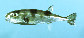 Lalae_u0.jpg