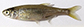 Ledel_u5.jpg