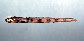 Lyver_u0.jpg