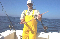 cornetfish.jpg