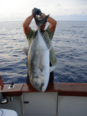 ../tools/UploadPhoto/uploads/Andaman-Giant-Trevally5.jpg