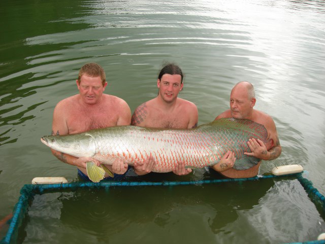 ../tools/UploadPhoto/uploads/Arapaima-Thailand3.JPG