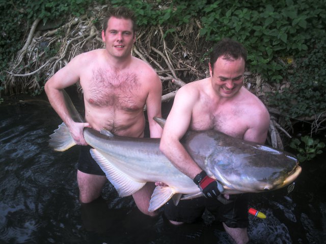 ../tools/UploadPhoto/uploads/Giant-Mekong-Catfish2.JPG