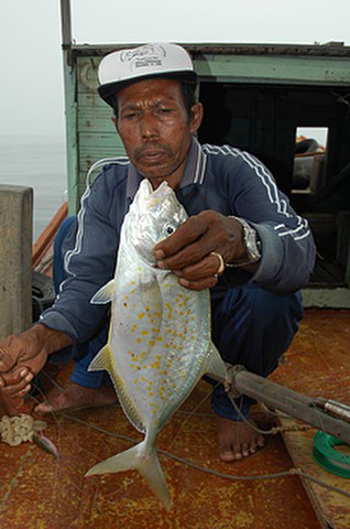 ../tools/UploadPhoto/uploads/Goldspot-Trevally.jpg