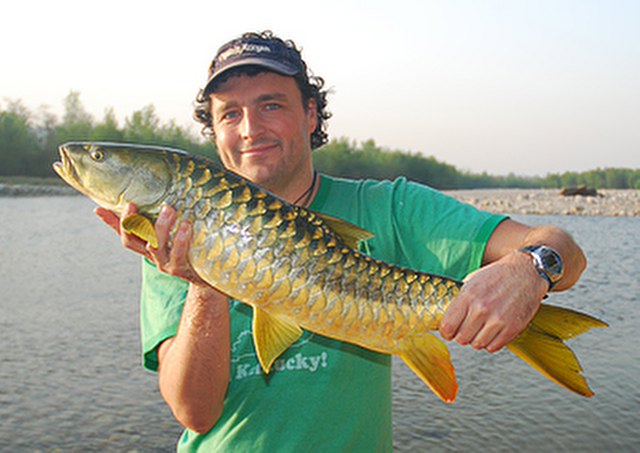 ../tools/UploadPhoto/uploads/Himalayan-Golden-Mahseer.jpg