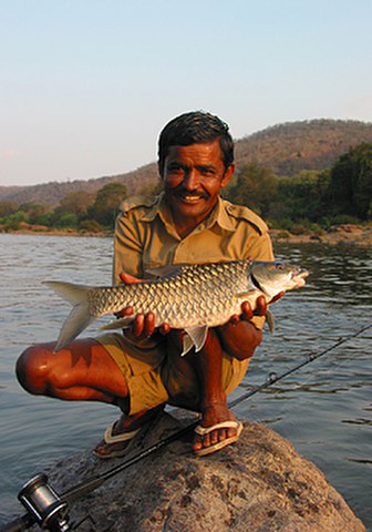 ../tools/UploadPhoto/uploads/Humpback-Mahseer1.jpg