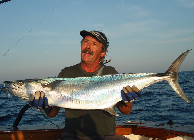 ../tools/UploadPhoto/uploads/Narrow-barred-spanish-mackerel-1.jpg