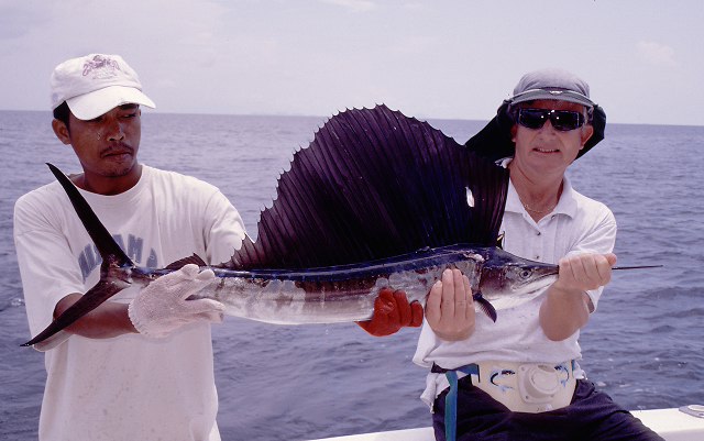 ../tools/UploadPhoto/uploads/Phuket-Sailfish10.jpg