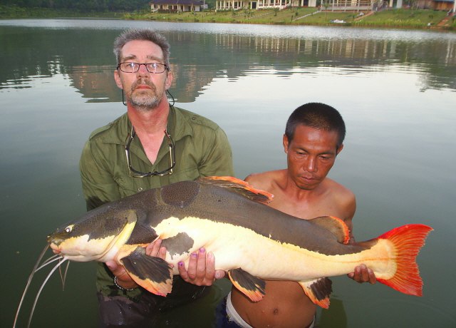 ../tools/UploadPhoto/uploads/Redtail-catfish.JPG