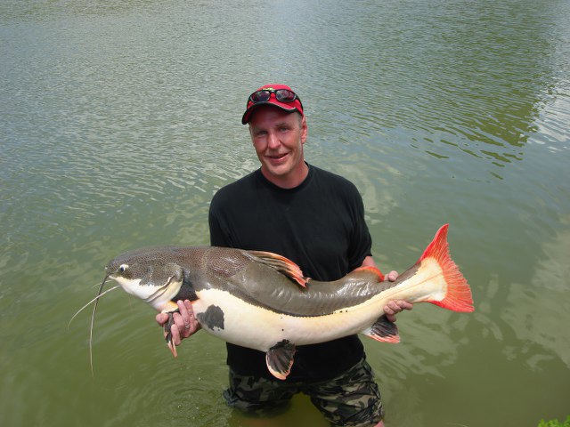 ../tools/UploadPhoto/uploads/Redtail-catfish2.JPG