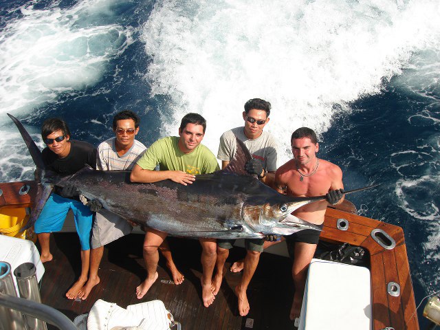 ../tools/UploadPhoto/uploads/Thai-Black-Marlin2.jpg