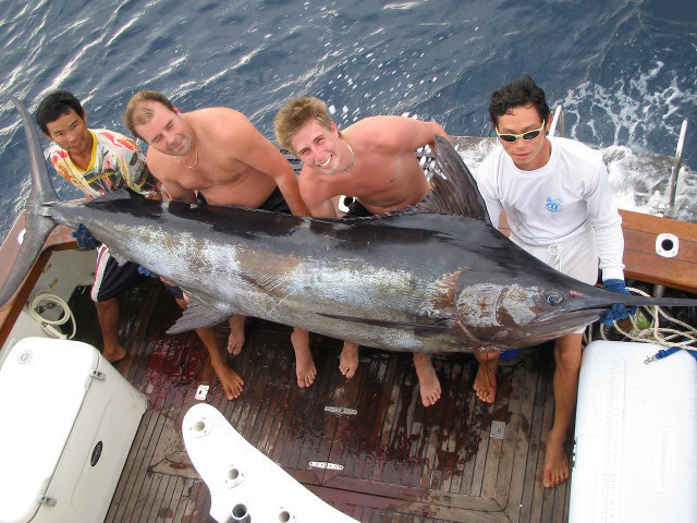 ../tools/UploadPhoto/uploads/Thai-Black-Marlin7.jpg