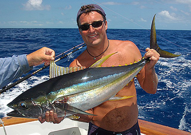 ../tools/UploadPhoto/uploads/Yellowfin-Tuna.jpg