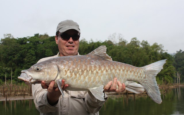 ../tools/UploadPhoto/uploads/thai-mahseer-cheow-lan.jpg